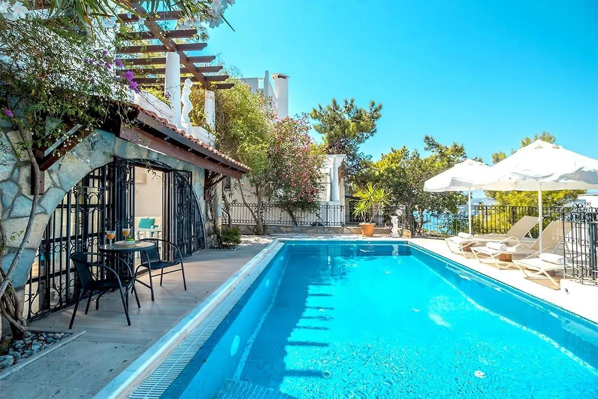 Villa Leila Private Pool بودروم تركيا