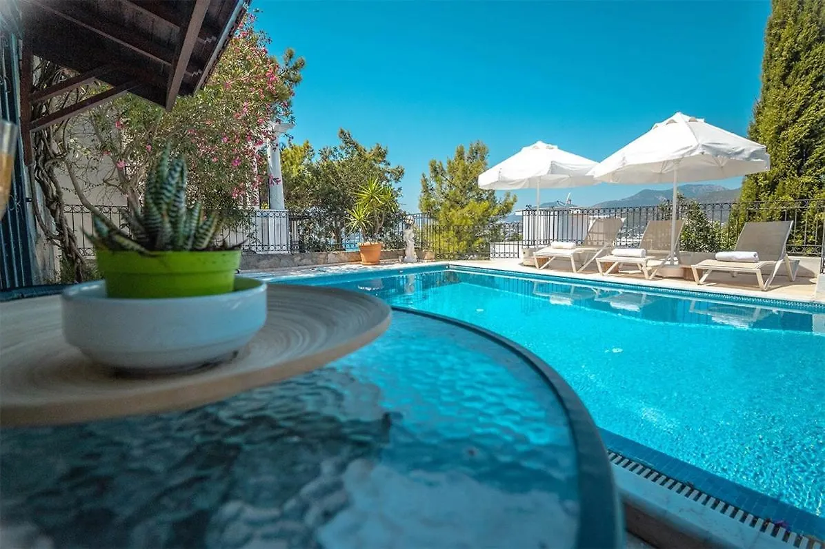 Villa Leila Private Pool بودروم